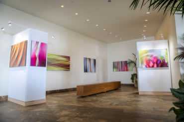 Shane Robinson Art Gallery Wailea Opens Andaz Maui