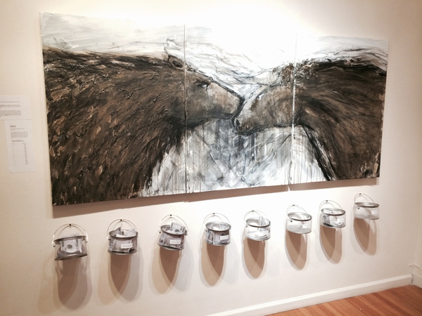 Shane Robinson's solo show opening at Hui No'eau, Maui, 2014